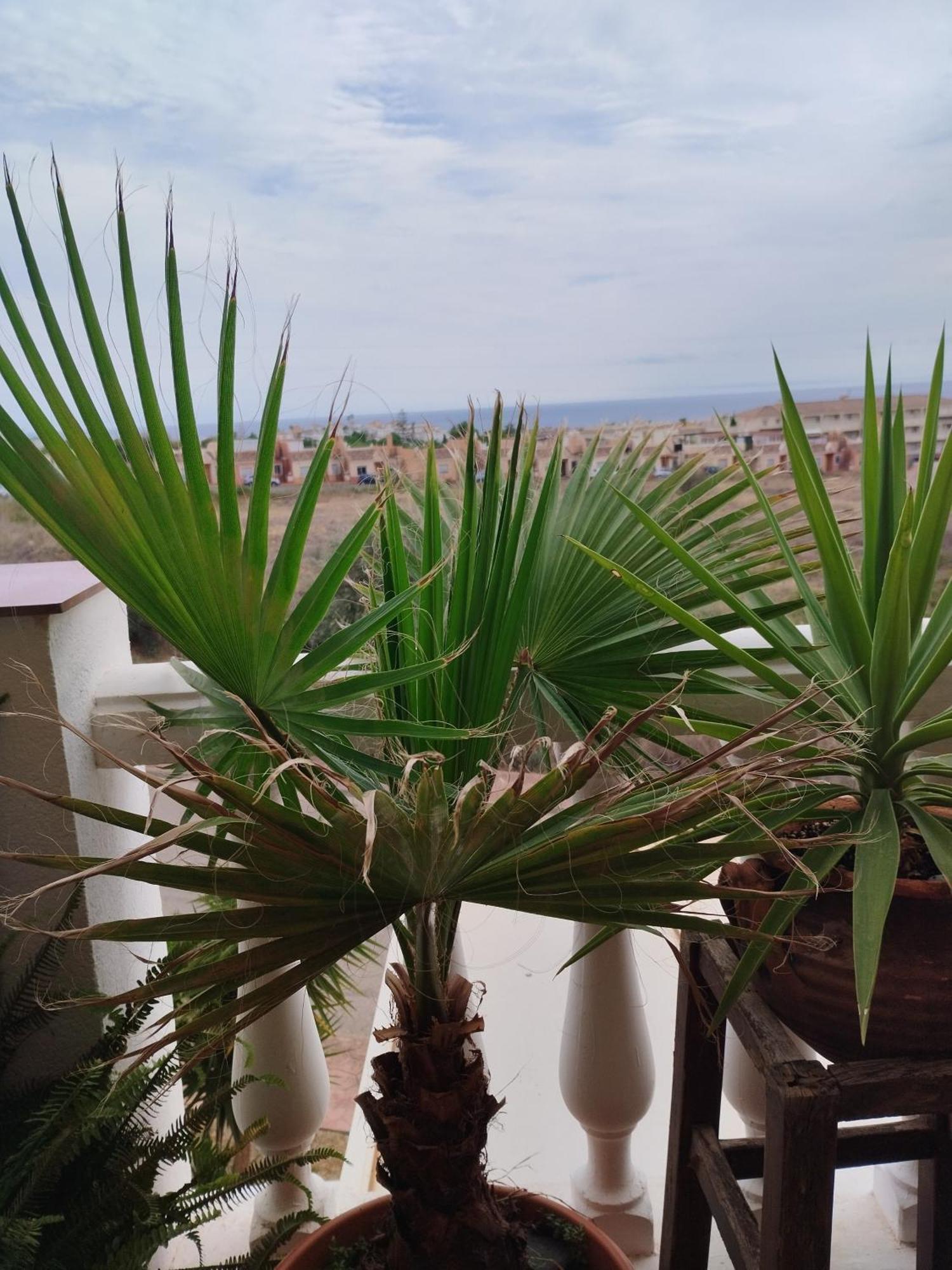 דירות טורוקס Casa Carino מראה חיצוני תמונה